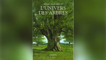 L’univers des arbres, d’Eryck de Rubercy: la grande sagesse de la nature