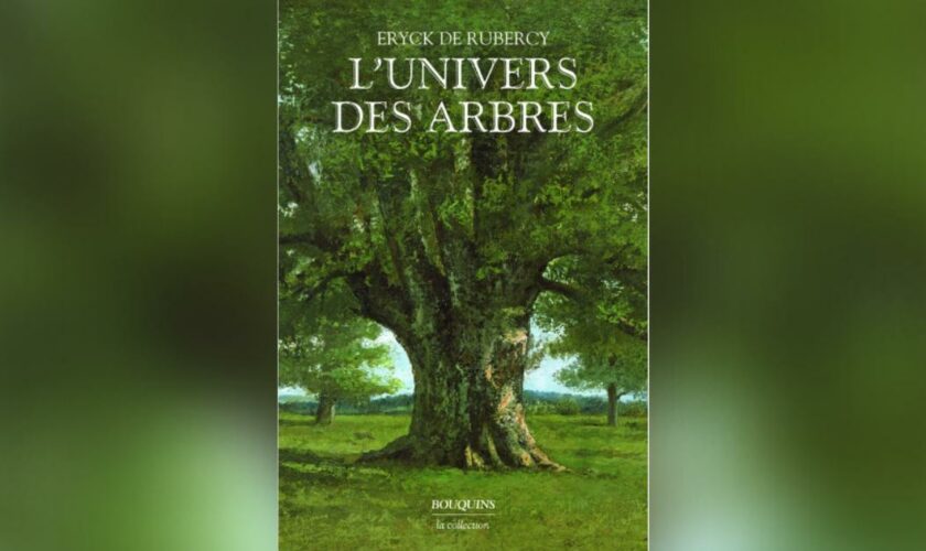 L’univers des arbres, d’Eryck de Rubercy: la grande sagesse de la nature