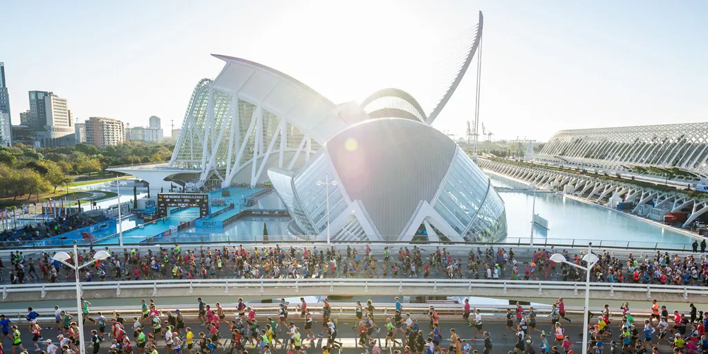 Maratón Valencia 2024: calles cortadas desde el viernes 29 de noviembre y desvíos de EMT