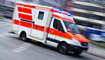 Der Rettungsdienst brachte die 63-Jährige nach dem Vorfall ins Krankenhaus. (Symbolbild) Foto: Nicolas Armer/dpa