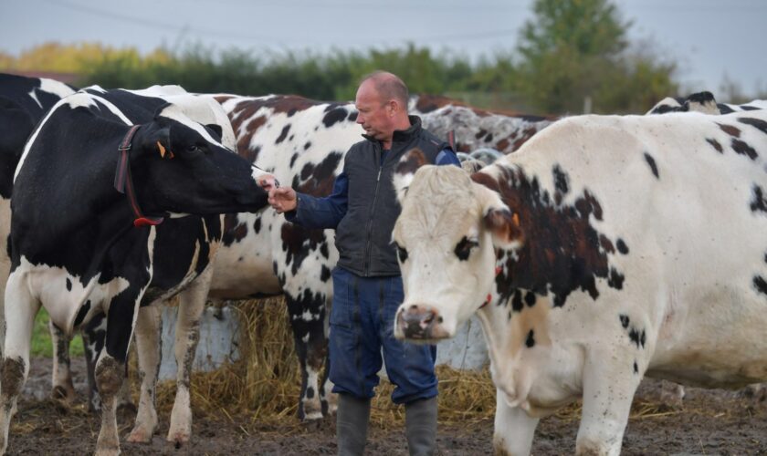 Ministre de l'Agriculture: "44% des agriculteurs luxembourgeois n'ont pas de successeur"