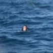 Miracle as man survives falls from cargo ship by swimming for 19 hours