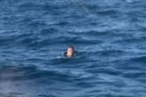 Miracle as man survives falls from cargo ship by swimming for 19 hours