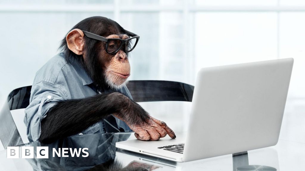 Monkeys will never type Shakespeare, study finds