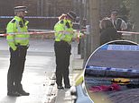 Mother of schoolgirl, eight, screamed 'My baby's been shot!' after she was hit in crossfire as police hunt Ladbroke Grove gunman who targeted her and man, 34