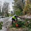 Neige et verglas en Seine-et-Marne : trois blessés graves sur les routes