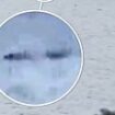 Nessie 'spotted' again: Two mysterious 'humps' are recorded prowling the shallows of Loch Ness