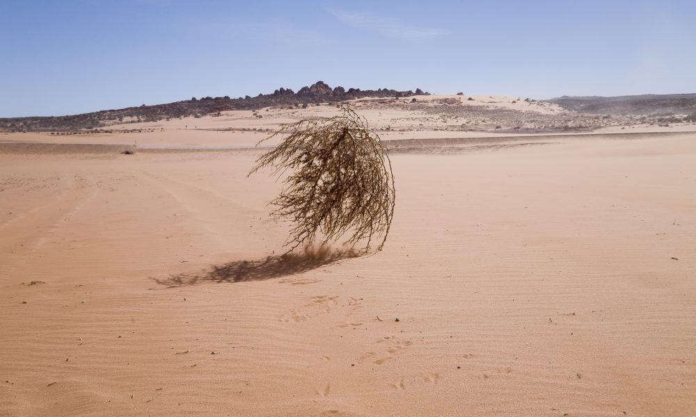 Nevada – Un journaliste de BFM TV violemment percuté en direct par une boule d’herbe séchée