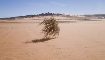 Nevada – Un journaliste de BFM TV violemment percuté en direct par une boule d’herbe séchée