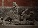 New DNA analysis of Pompeii victims reveals shocking truth about who they really were