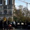 Notre-Dame de Paris : près d’un Français sur deux compte visiter la cathédrale après sa réouverture