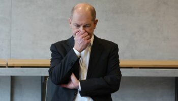 Neuwahlen: Olaf Scholz