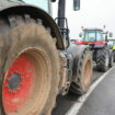 « On veut qu’il ne nous oublie pas » : les agriculteurs choisissent Vélizy-Villacoublay (et la N 118) pour interpeller Macron sur le Mercosur