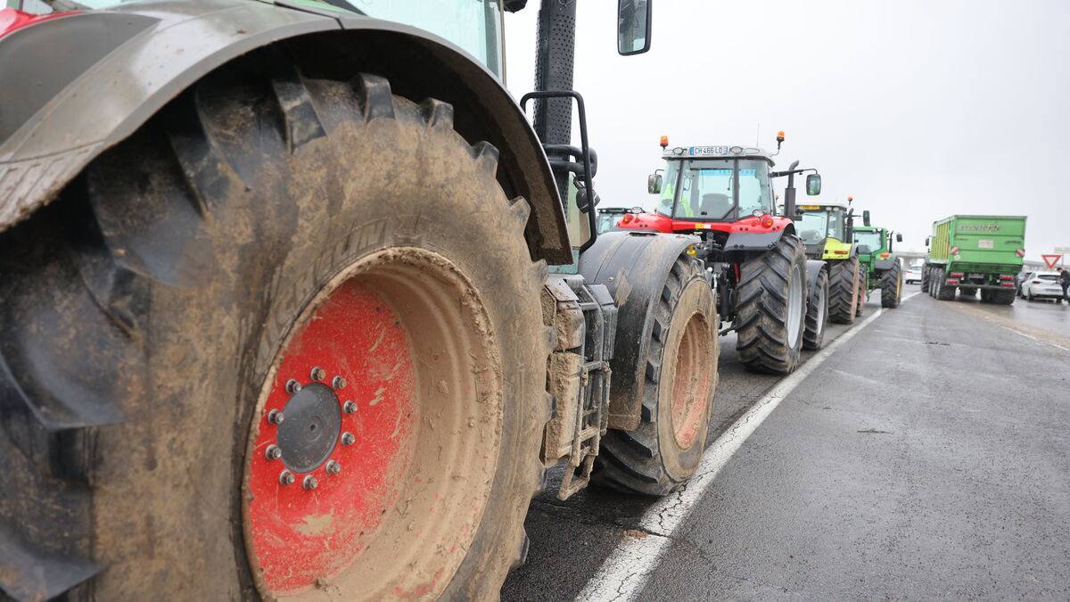 « On veut qu’il ne nous oublie pas » : les agriculteurs choisissent Vélizy-Villacoublay (et la N 118) pour interpeller Macron sur le Mercosur