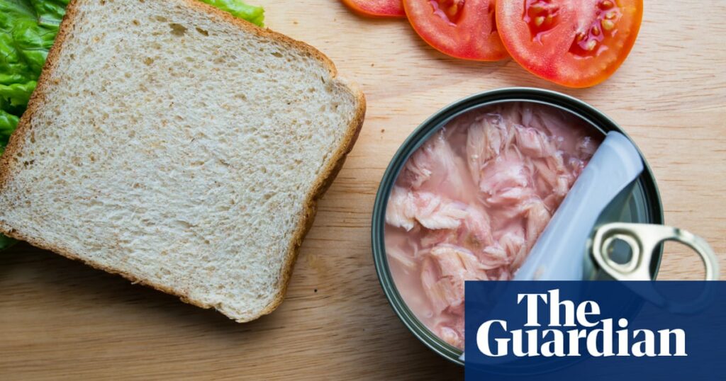 Only one of Australia’s most popular tuna brands passes sustainability test, according to first-of-its-kind review