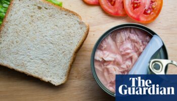 Only one of Australia’s most popular tuna brands passes sustainability test, according to first-of-its-kind review