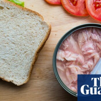 Only one of Australia’s most popular tuna brands passes sustainability test, according to first-of-its-kind review