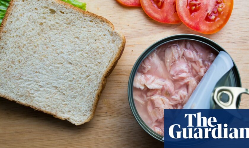 Only one of Australia’s most popular tuna brands passes sustainability test, according to first-of-its-kind review