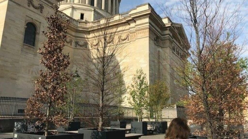 Paris : inquiétude autour des arbres en pot du Panthéon