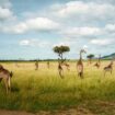 Photo : en Afrique de l’Est, les paradis perdus de Guillaume Bonn