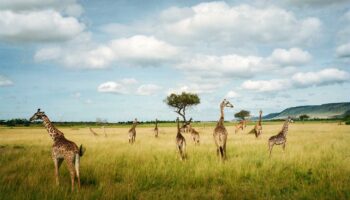 Photo : en Afrique de l’Est, les paradis perdus de Guillaume Bonn