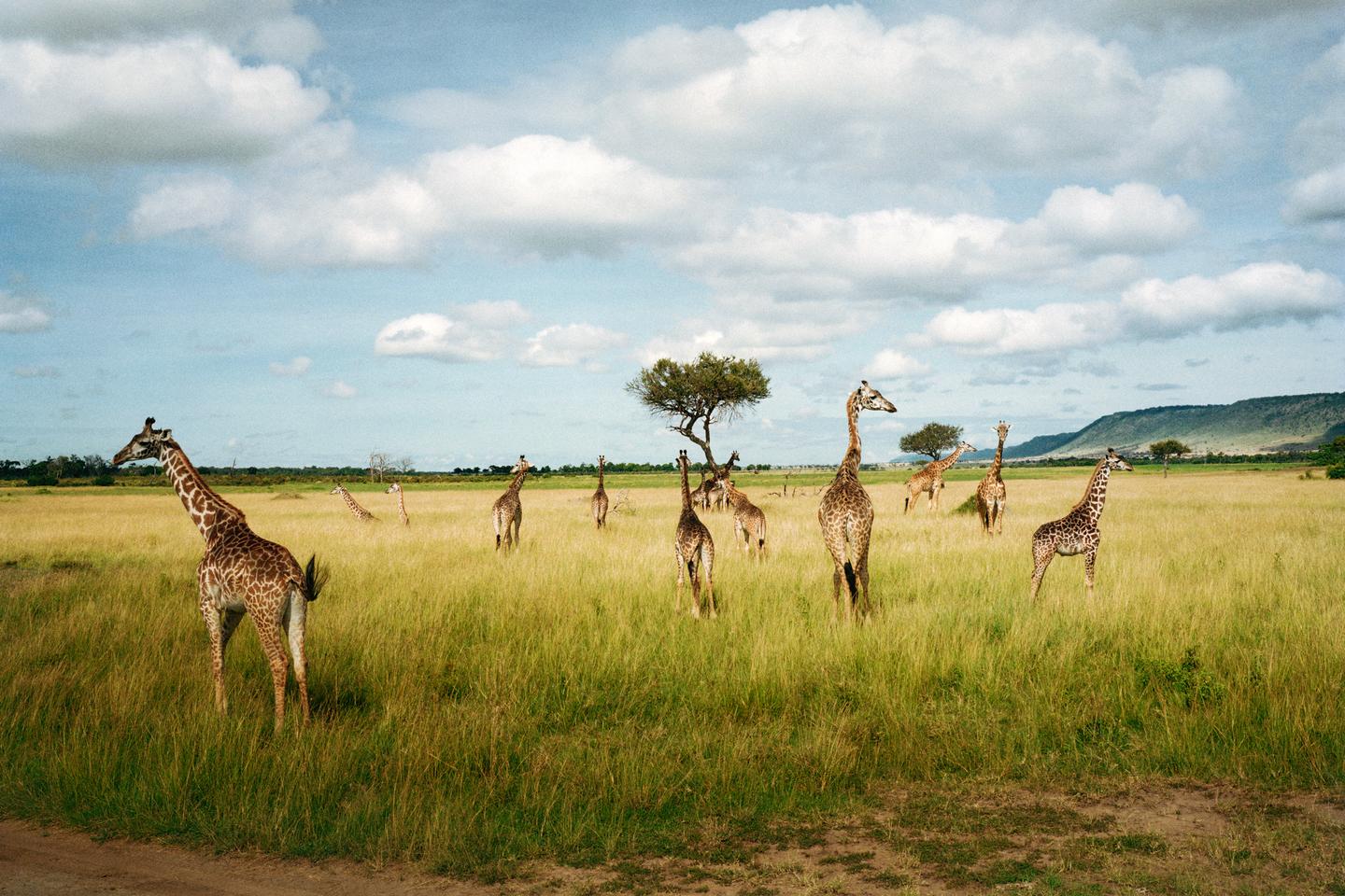 Photo : en Afrique de l’Est, les paradis perdus de Guillaume Bonn