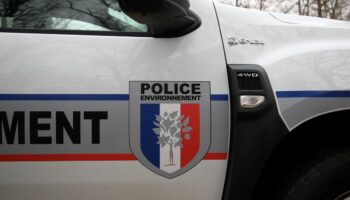 Police de l’environnement, l’OFB dénonce les suppressions de postes et un financement en baisse