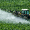 Pollution de l’eau : une ONG demande l’interdiction immédiate le flufénacet, un herbicide contenant des PFAS