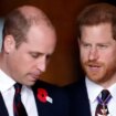 Prince William 'has effectively lost his brother' and his life 'could hardly be more stressful'