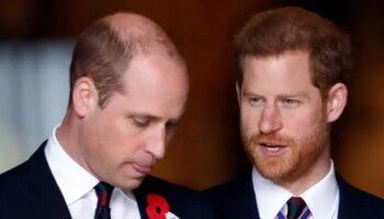 Prince William 'has effectively lost his brother' and his life 'could hardly be more stressful'