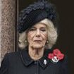 Queen Camilla, 77, will not attend Festival of Remembrance nor Cenotaph service as she continues to battle chest infection