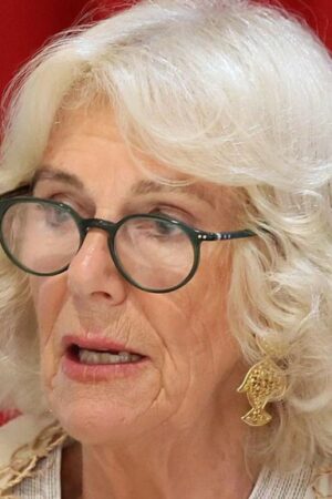 Queen Camilla warns of 'terrifying' domestic violence