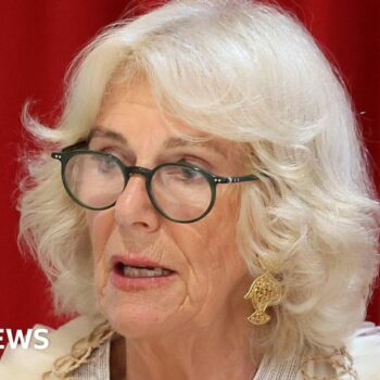 Queen Camilla warns of 'terrifying' domestic violence