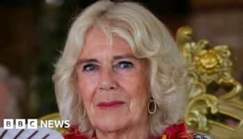 Queen Camilla withdraws from engagements due to chest infection