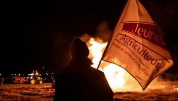 Refus de la violence ou approche radicale: le jeu complexe des syndicats durcit les mobilisations agricoles