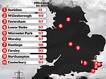 Revealed: UK areas at risk as experts warn autism is caused by air pollution - toxins are breathed by millions