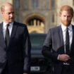 Royal Family 'listening' to Prince Harry after 'calculated' move from William