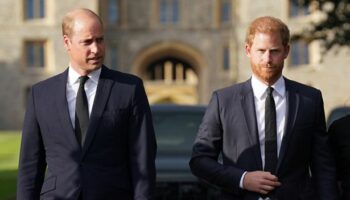 Royal Family 'listening' to Prince Harry after 'calculated' move from William