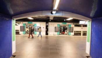 Seine-et-Marne : une rixe à coups de hache dans le RER E fait quatre blessés dont deux graves