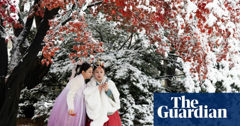 Seoul slows down under blanket of heaviest November snow in 100 years