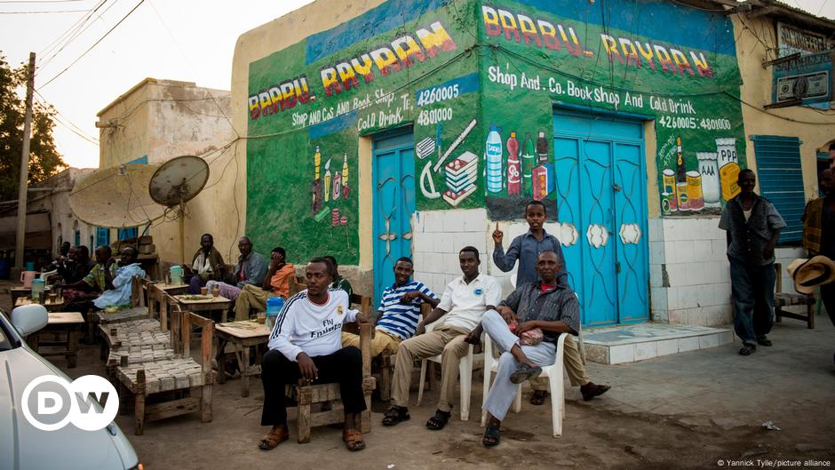 Somaliland: What elections mean for regional power dynamics