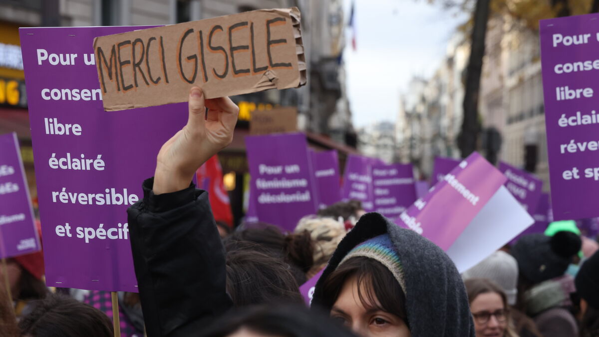 « Son courage va aider d’autres victimes » : Gisèle Pelicot, nouvelle égérie des marches féministes