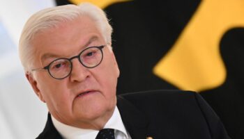 Statement im Video: "Ende einer Koalition ist nicht das Ende der Welt" – Steinmeier über Ampel-Aus