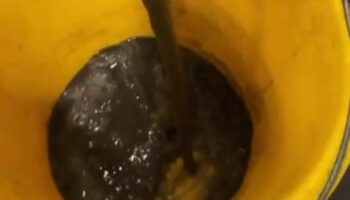 Stomach-churning footage of brown sludge shows how dirty tube seats really are