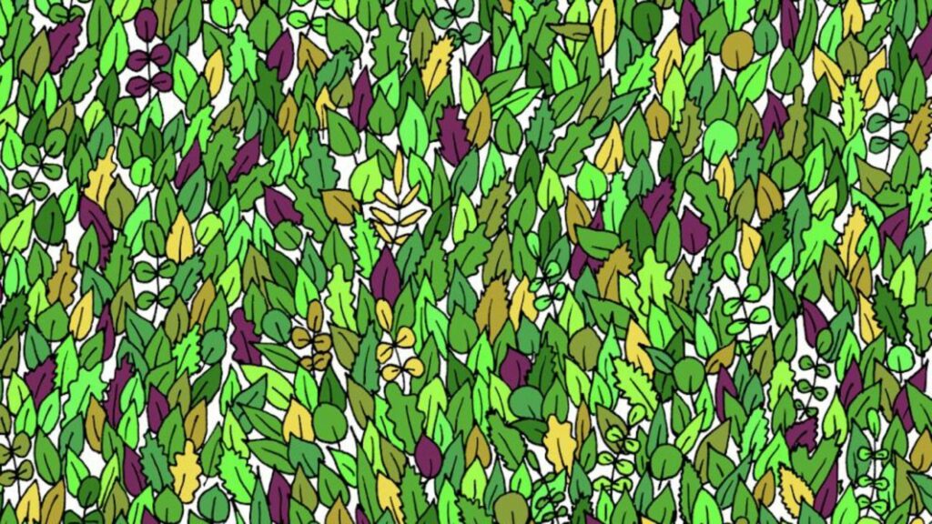 Suchbild: Augentest: Finden Sie den kleinen Frosch in 15 Sekunden?