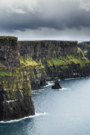 Surprise, les Romains ont vécu en Irlande et c'est une figue qui le révèle