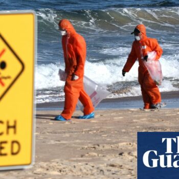 Tar ball theory debunked as Sydney’s mystery beach globules found to be waste bacteria, fat, animal matter and oil