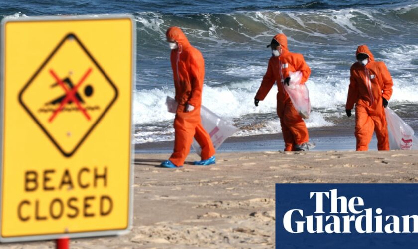 Tar ball theory debunked as Sydney’s mystery beach globules found to be waste bacteria, fat, animal matter and oil