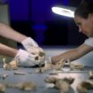 « Tautavel : vivre en Europe avant Neandertal », sur France 5 : à la quête de nos origines