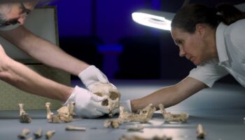 « Tautavel : vivre en Europe avant Neandertal », sur France 5 : à la quête de nos origines